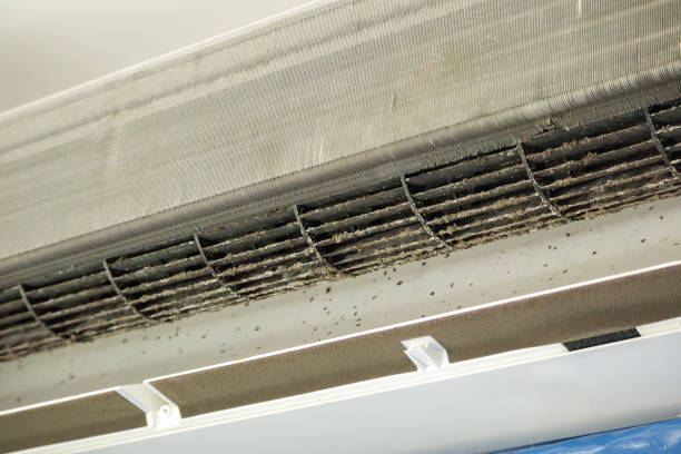 Best Home Air Vent Cleaning  in Copper Canyon, TX